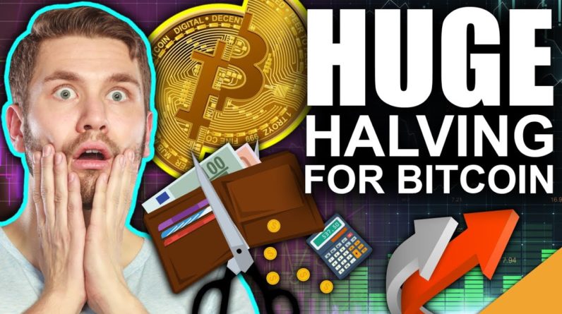 Bitcoin Will Hit $1,000,000 Because of THIS (Bitcoin Halving Cycle Explained)