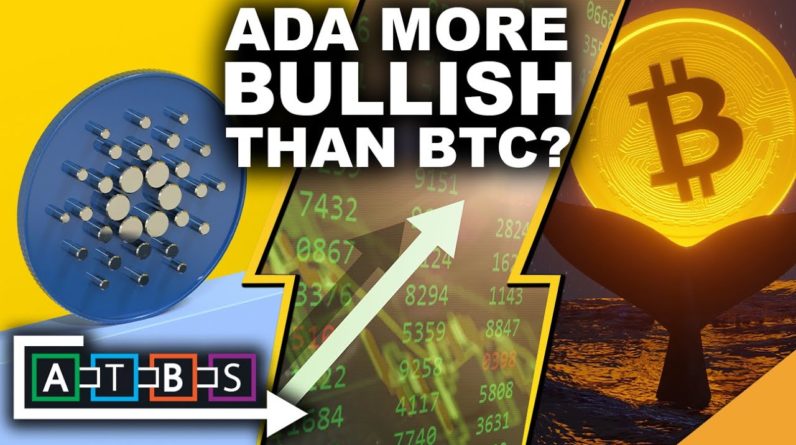 CARDANO More Bullish Than BITCOIN ($1.12 Billion Movement Between Whales!)