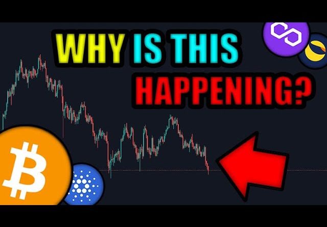 CRYPTO CRASHING DUE TO *THIS* + Instagram Integrates Ethereum Solana Matic (7 Reason To Be Bullish)