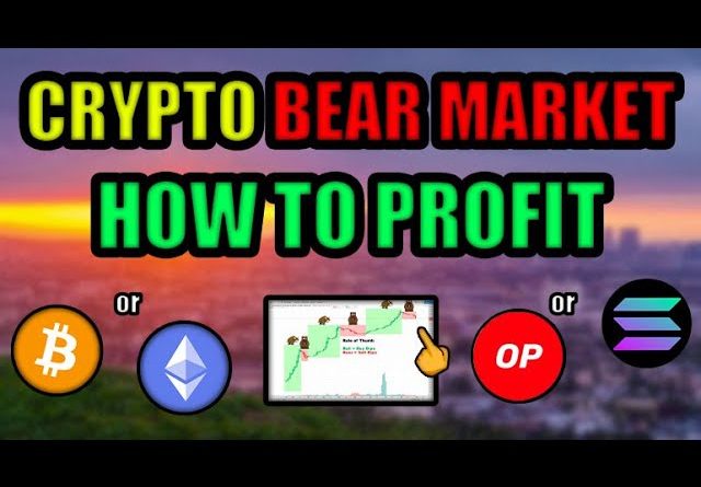 How To Make CRAZY Money in Cryptocurrency During a BEAR MARKET! Ethereum or Bitcoin? or Solana?