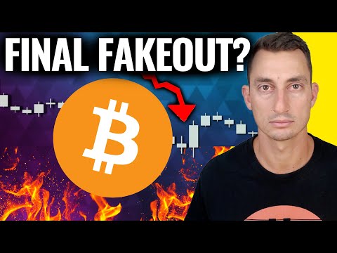 BITCOIN RALLY on Track For a CRYPTO CRASH! (What to Expect Next)