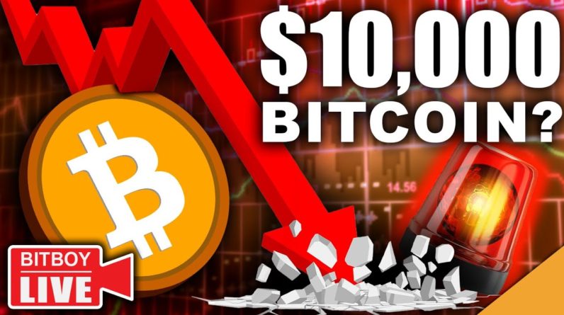 $10,000 BITCOIN (Will All of Crypto Follow The Crash?!) + More Stimulus Checks INCOMING