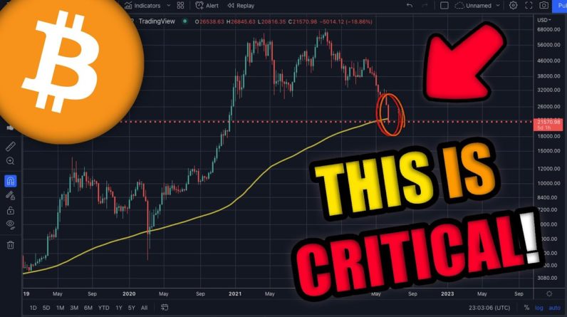 PREPARE FOR BITCOIN'S INSANE NEXT MOVE...HAS CRYPTO MARKET BOTTOMED?