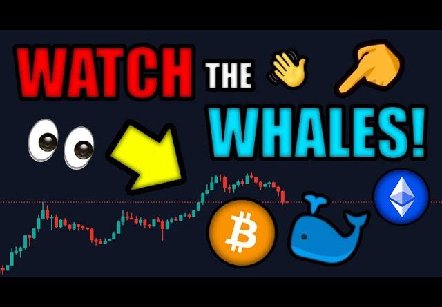 WHALES (QUIETLY) BUYING BITCOIN! 🐳 ETHEREUM to EXPLODE After MERGE in SEPTEMBER!