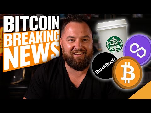 BEST BITCOIN NEWS OF THE YEAR! (Top Altcoin Price Action!)