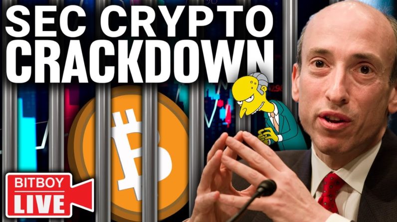 BITCOIN UNDER ATTACK! (Worst Time for SEC Investigation)