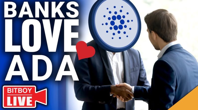 CARDANO ENDORSED BY BANKS?! | Pelosi visits TAIWAN!