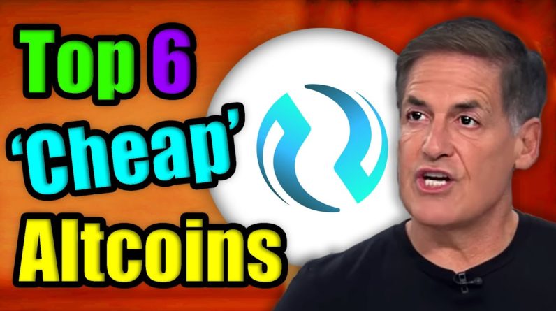 Mark Cuban Reveals Top 6 Low Cap Altcoins He Owns in 2022 | Best Crypto Coins