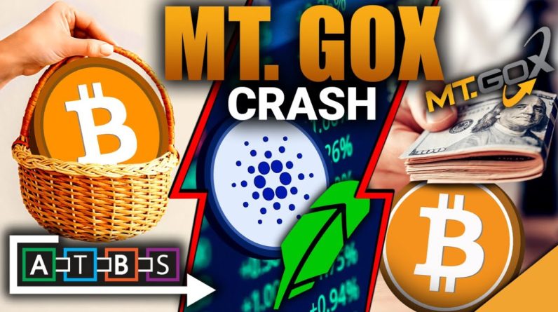 Bitcoin's Biggest Secret! (Mt. Gox Crash Looming)