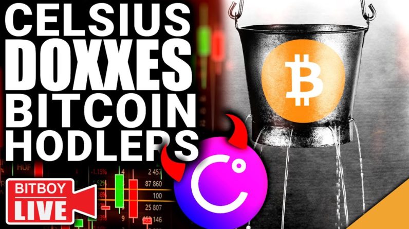 Celsius DOXXES Bitcoin Hodlers (BNB Exploit Explained)