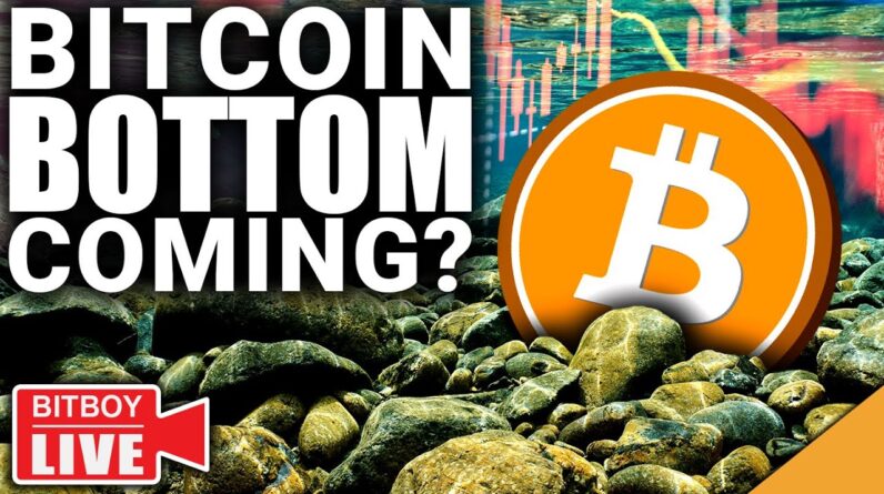 SHOCKING Bitcoin Data REVEALS Bottom Coming! (INSANE XRP Development)