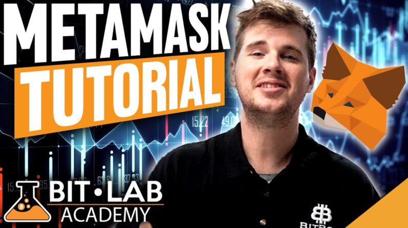 The ULTIMATE Metamask Tutorial (Bitlab Academy Exclusive)