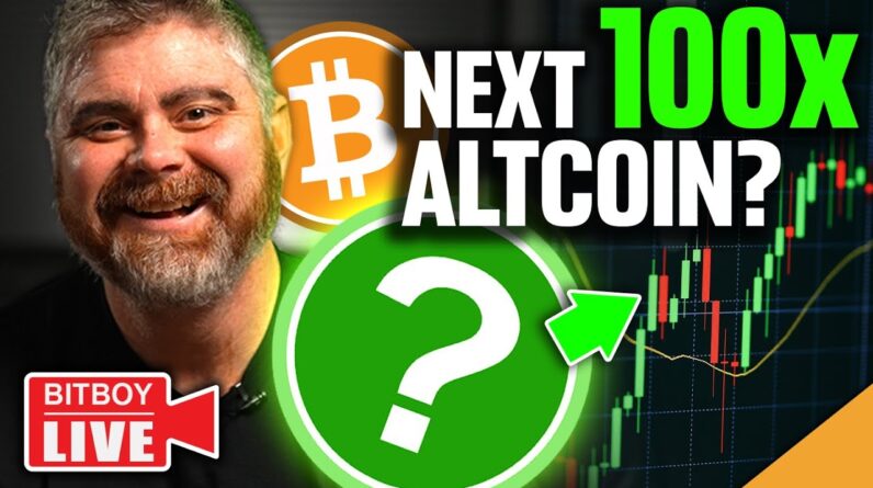 NEXT 100x Altcoin? (Bitcoin Ready To MOVE)