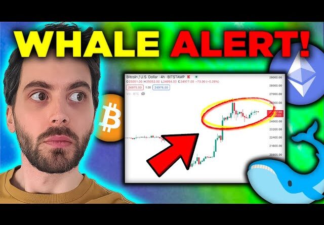 The REAL REASON Bitcoin Is Going Up… [Whale Buys $1 BILLION]