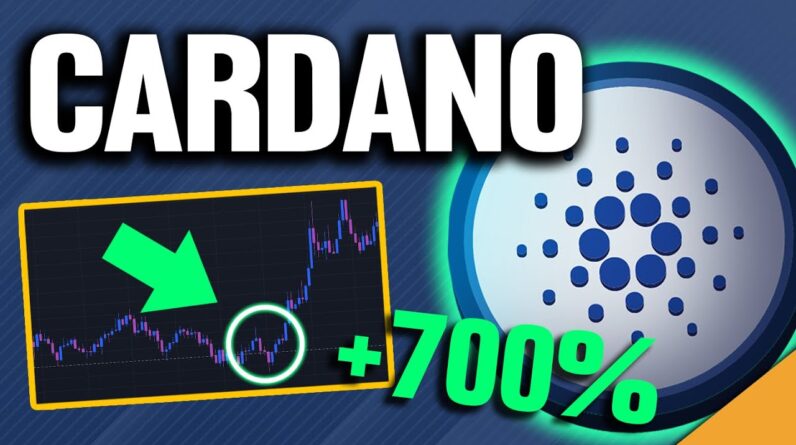 TOP Passive Income Stream! (Cardano Crypto Defi)