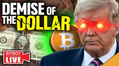 Bitcoin Prepares For MASSIVE Move! (Trump Predicts The Dollar's DEMISE)