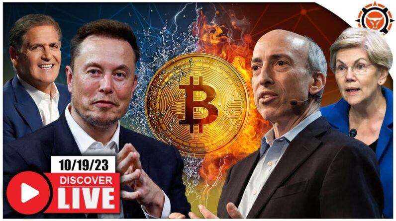 Elon Musk & Mark Cuban Join the Crypto Fight! (Bitcoin Bull Flag Forming)