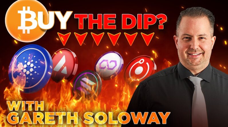 Buy The Crypto Market Dip? w/ Gareth Soloway