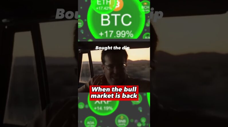 IS THE BULL MARKET BACK??