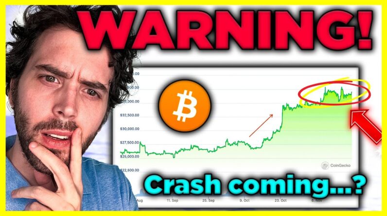 Buy Bitcoin Here? or Sell? Is a Price Crash Coming? or Rally? + (2 Altcoins I Like)