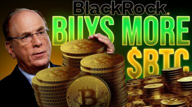 BlackRock's Bitcoin Holdings Grow To Over 11,000+ $BTC