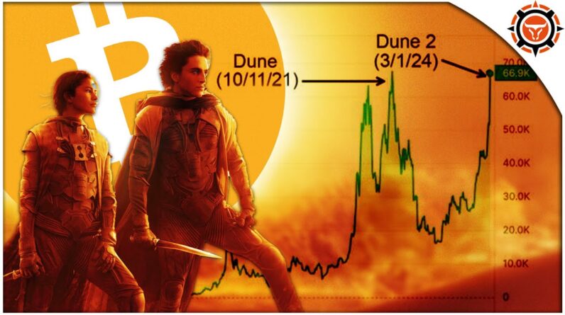 ACT NOW! These 5 Altcoins will PUMP next (ALL TIME HIGHS)