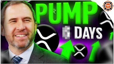 XRP Insiders Predict MASSIVE Pump (Act Now Before It's Too Late!)