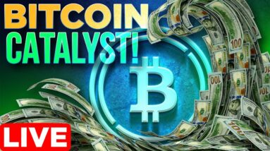 Bitcoin Liquidity Catalyst!️‍🔥Market Update LIVE🔴