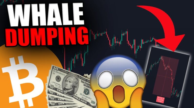 I JUST FOUND OUT WHICH WHALE IS DUMPING BITCOIN!