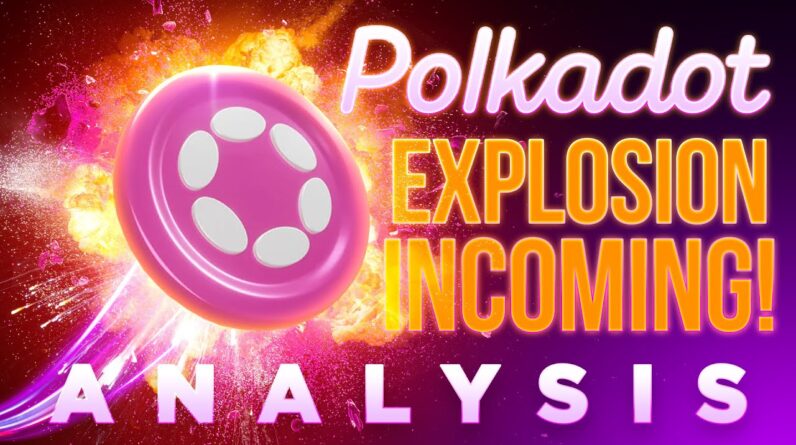 Polkadot September Incoming🚨Trans️‍actions Explode!️‍🔥