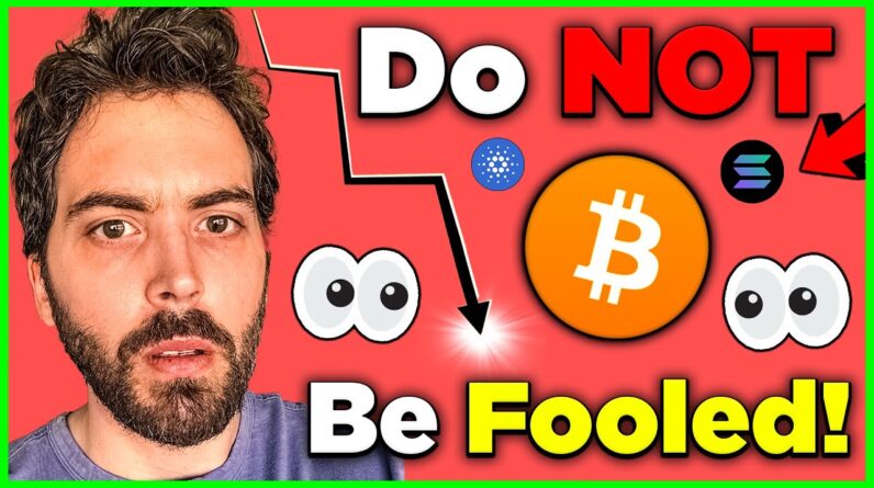 The Real Reason Bitcoin Is Crashing + The Next 10x Altcoin?