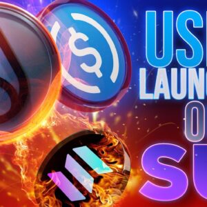 USDC Launches on SUI💥Solana SHOTS FIRED!