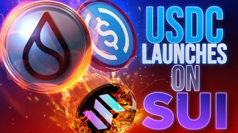 USDC Launches on SUI💥Solana SHOTS FIRED!