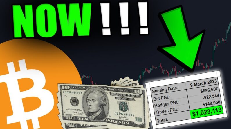 ALL IN BITCOIN AND ALTCOINS NOW ! ! !