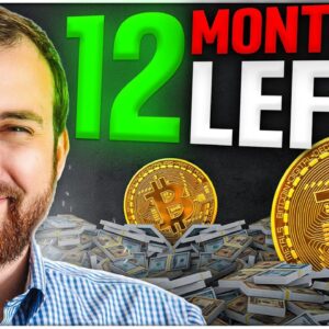 Shocking $250k Bitcoin Price PREDICTION! Cardano & Ethereum Founder Speaks Out