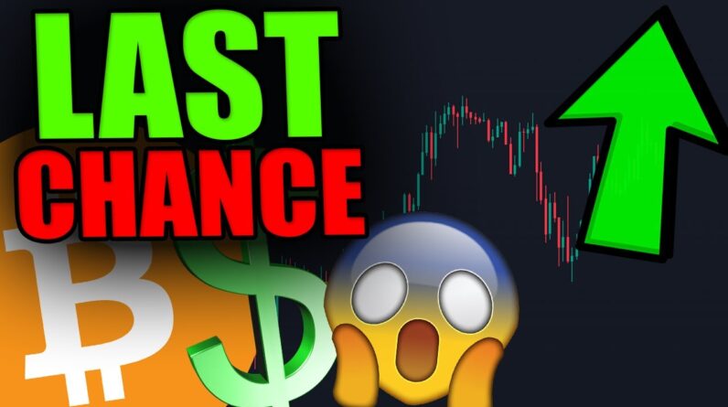 THIS IS LITERALLY YOUR LAST CHANCE [My most important video.....]