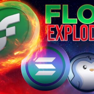 $FLOW & Solana Set To Explode NFTs🚀BUY NOW?️‍🔥